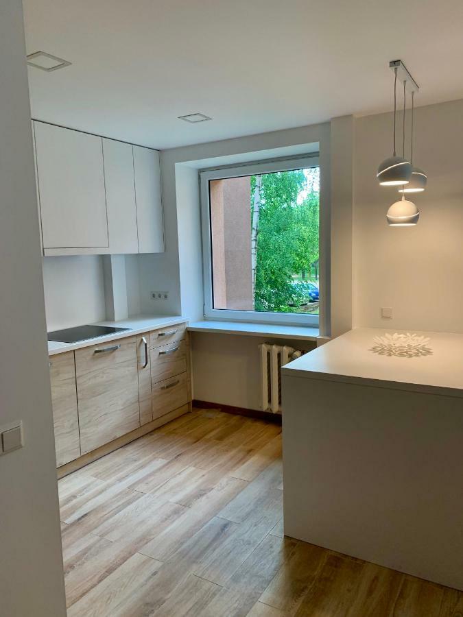 Alytus Apartament Экстерьер фото